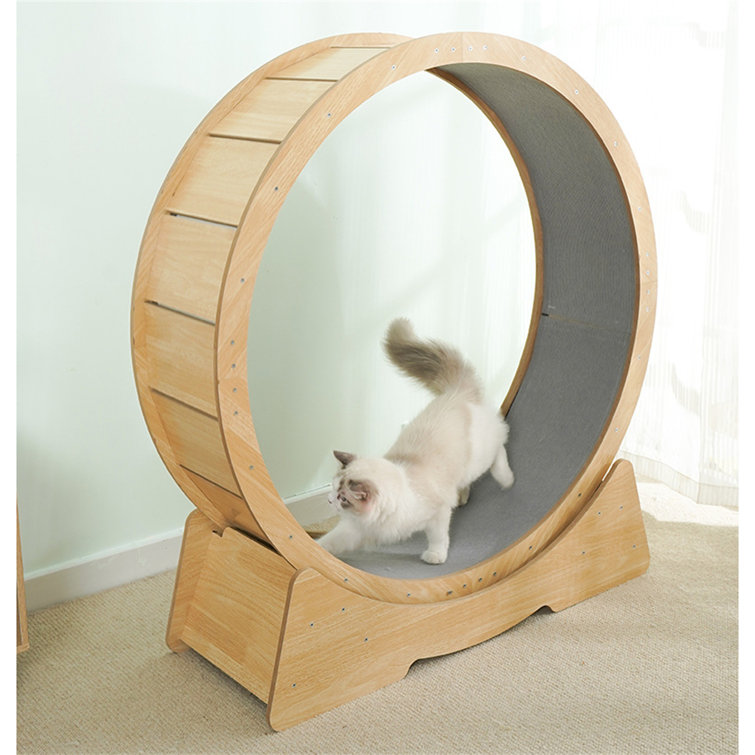 Tucker Murphy Pet™ 34.25" Dagnen Cat Wheel, Cat Treadmill, Sports Wheel Scratchers and